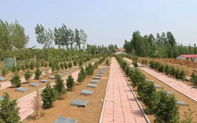 农村公益性墓地包含的权利