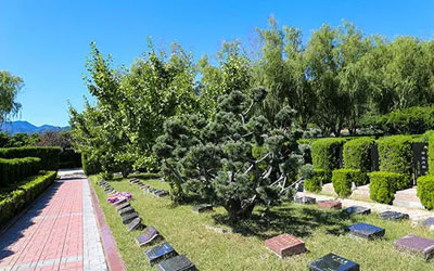 不同类型墓地的葬法，树葬，草坪葬，花坛葬，艺术墓，传统葬，西式墓，中西结合艺术墓