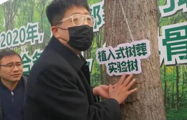 郑州出现的新型植入式树葬可行性分析