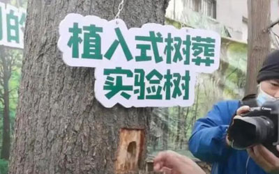 对郑州出现的新型植入式树葬可行性分析