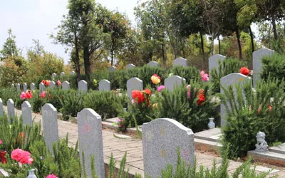 昆明周边墓地怎么选,青龙艺术陵园公墓价格是多少