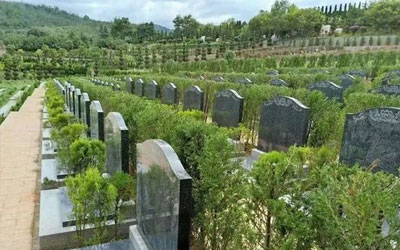 陵园与公墓都作为安葬的类型有什么区别吗