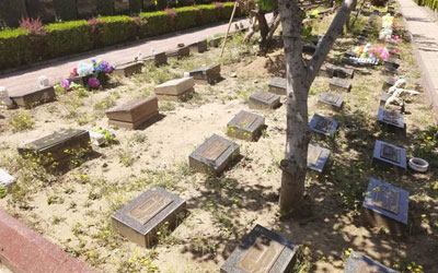 现代墓地都有哪些丧葬模式