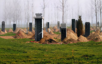 奇怪：农村有人去世后，为啥不埋在陵园，都会埋在田地里呢？
