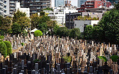 不可思议，在日本所谓的好的风水墓地，原来是建在自己家门口