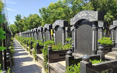 在殡葬服务机构购买墓地的程序